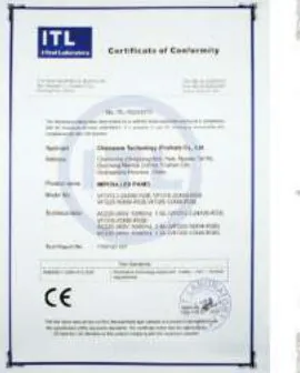 CE Certificate of Conformity
